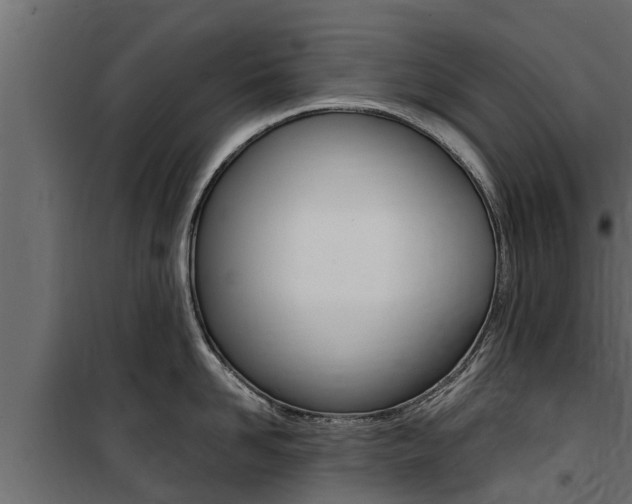 X0000100770958200806190930
