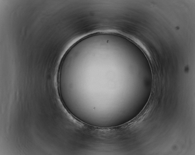 X0000100770959200806190930