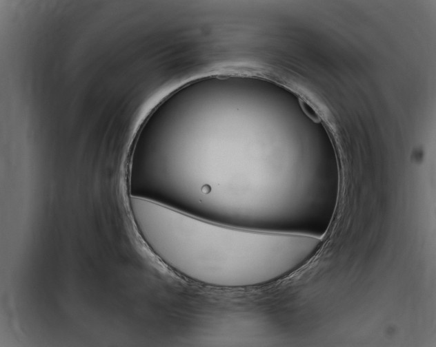 X0000100770960200806190930