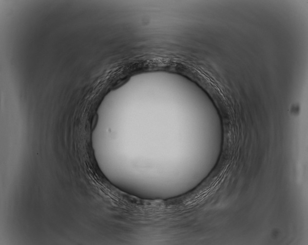 X0000100770961200806190929