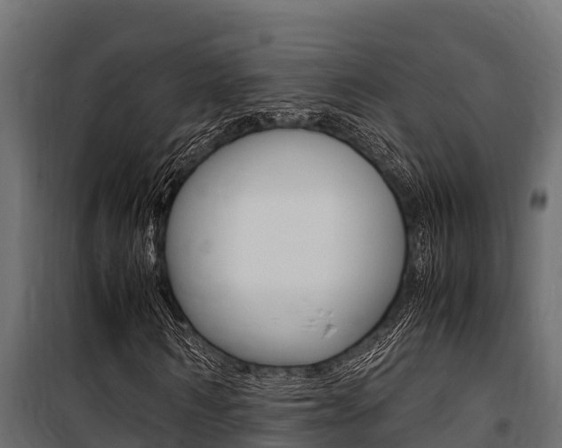 X0000100770962200806190929