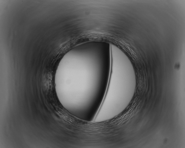 X0000100770964200806190929