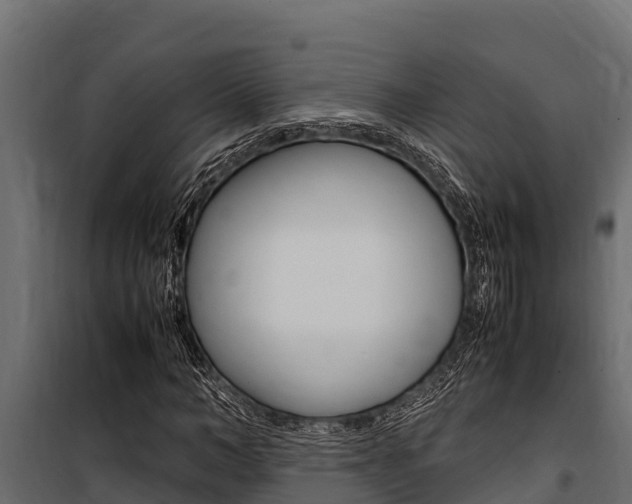 X0000100770966200806190929