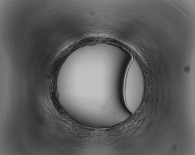 X0000100770967200806190929