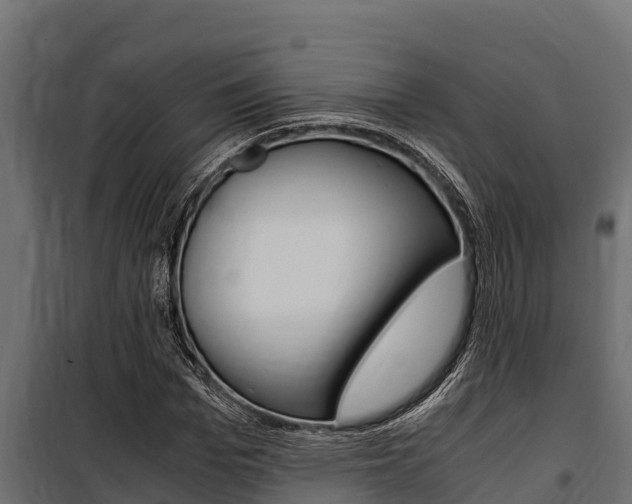 X0000100770969200806190929
