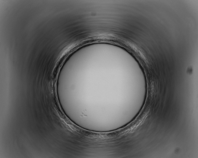 X0000100770970200806190929