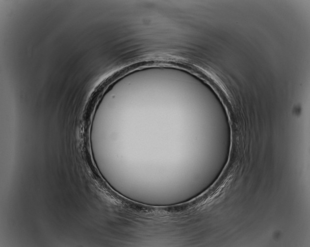 X0000100770971200806190929