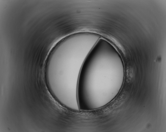 X0000100770972200806190929