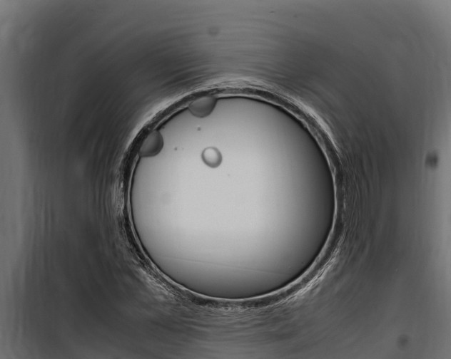 X0000100770973200806190929