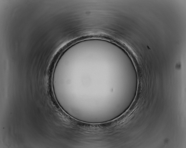 X0000100770975200806190929