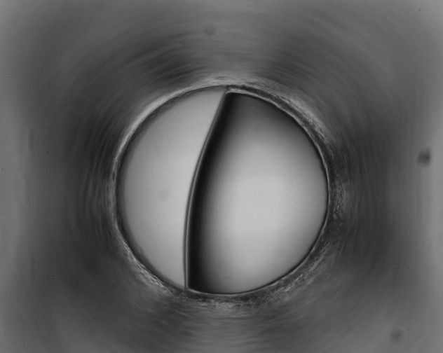 X0000100770976200806190929