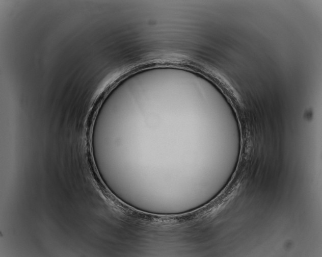 X0000100770978200806190929