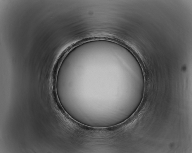 X0000100770979200806190929