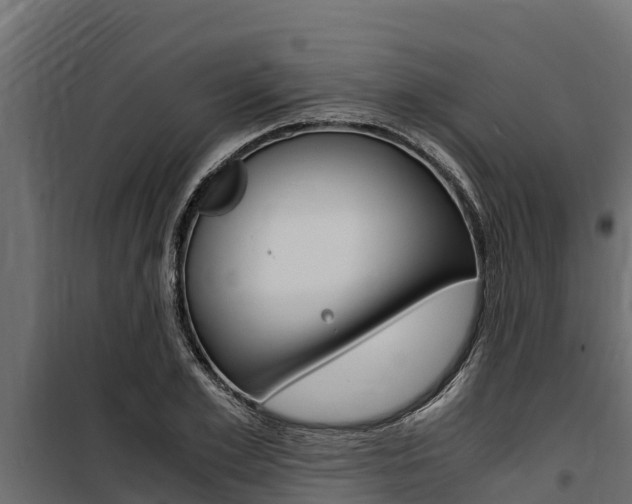 X0000100770981200806190928