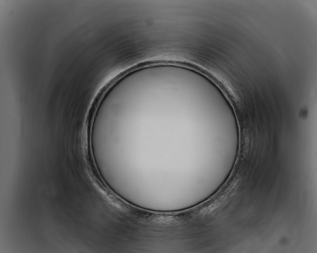 X0000100770982200806190928