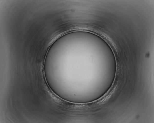 X0000100770985200806190928