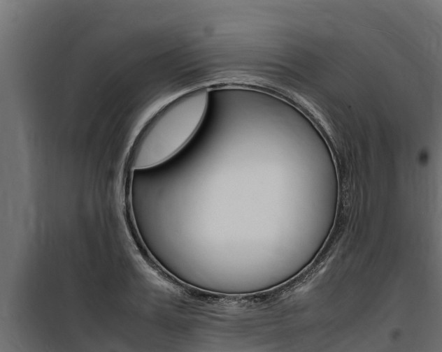 X0000100770987200806190928