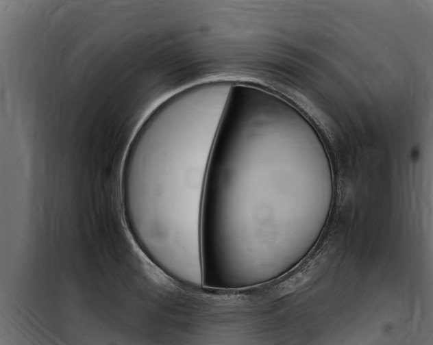 X0000100770988200806190928