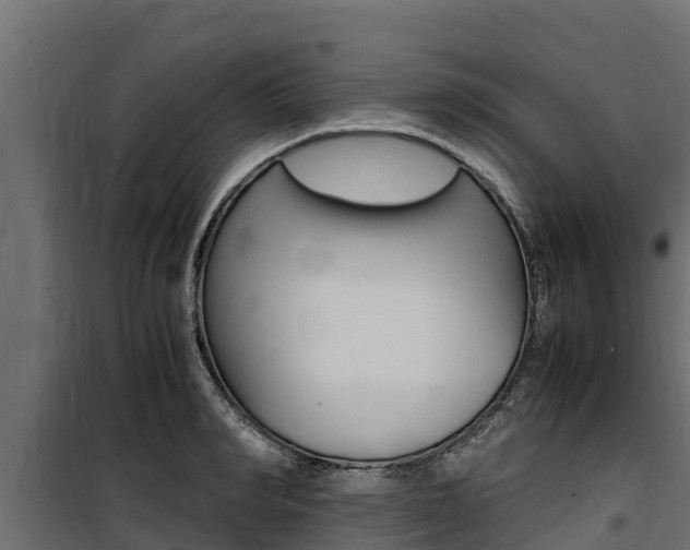 X0000100770990200806190928