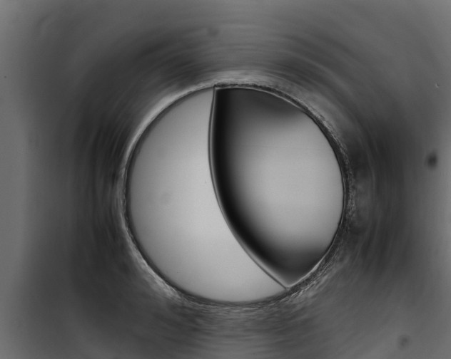 X0000100770992200806190928