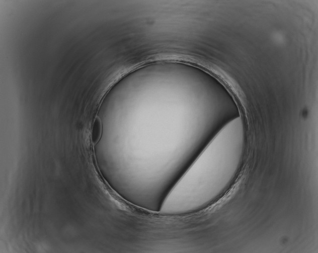 X0000100770993200806190928