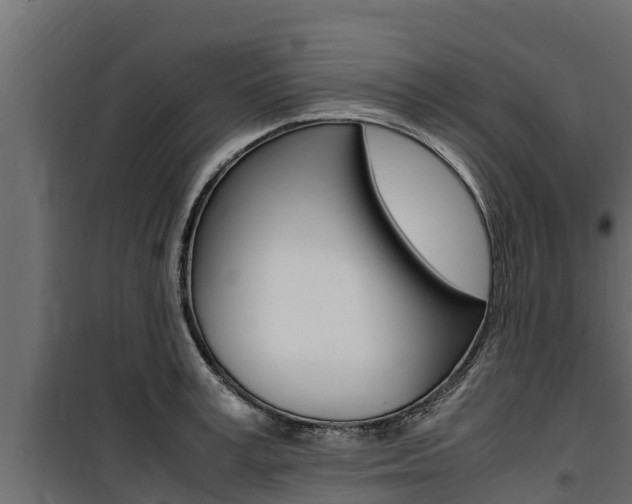 X0000100770995200806190928