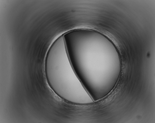 X0000100770996200806190928