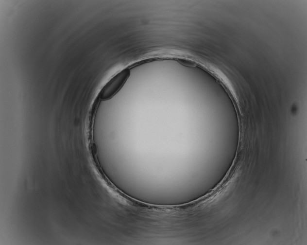X0000100770997200806190928