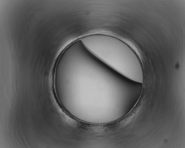 X0000100770999200806190928