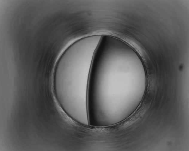 X0000100771000200806190928