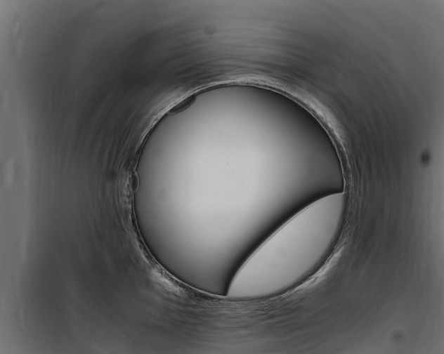 X0000100771001200806190928