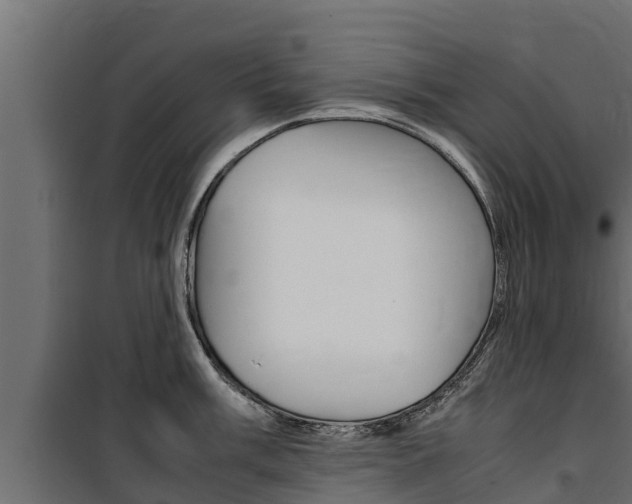 X0000100771003200806190928