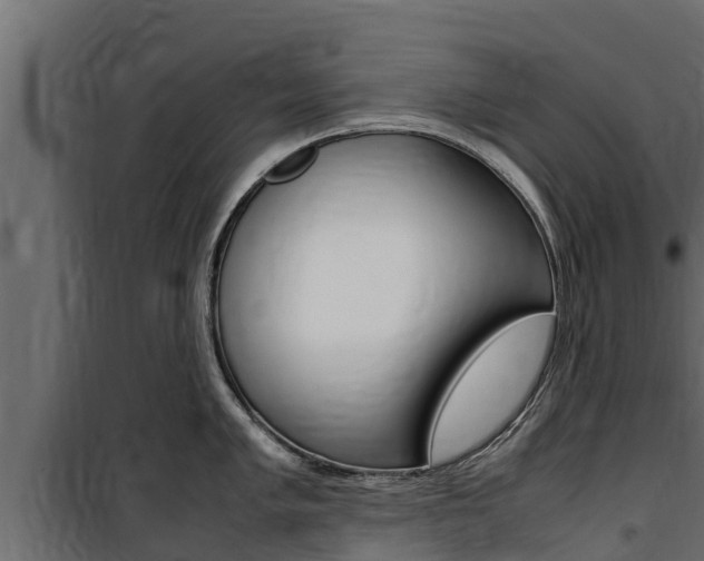 X0000100771005200806190928