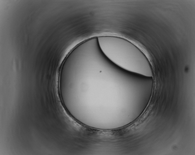 X0000100771006200806190928