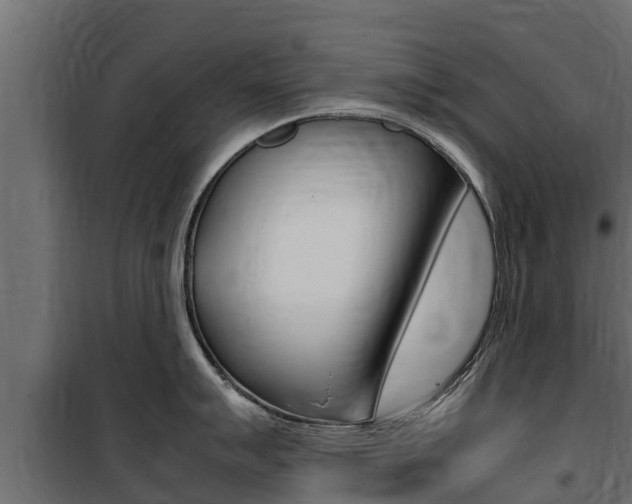 X0000100771007200806190928