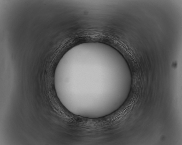 X0000100771009200806190927