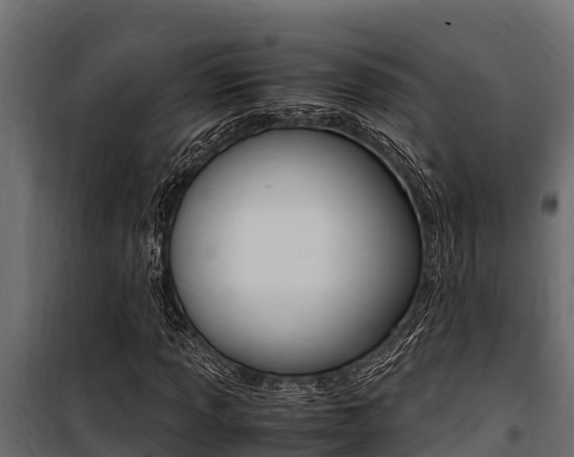 X0000100771013200806190928