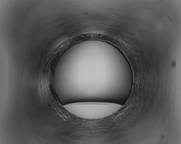 X0000100771014200806190928