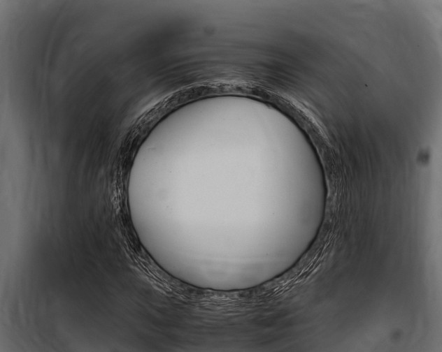 X0000100771015200806190928