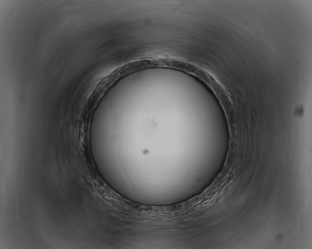 X0000100771016200806190928