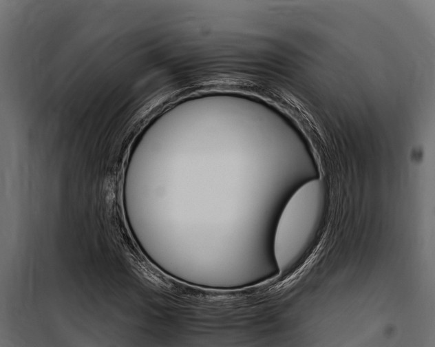 X0000100771017200806190928