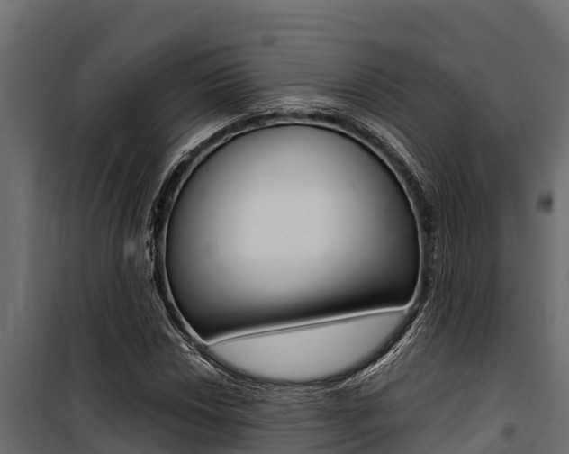 X0000100771018200806190928