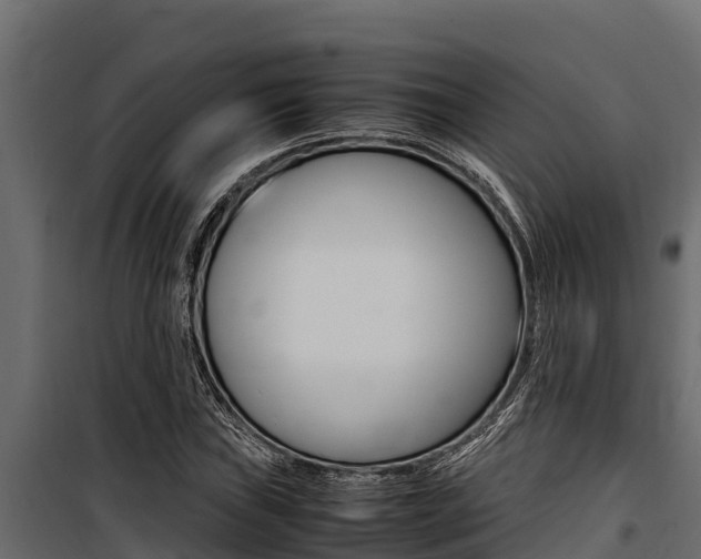 X0000100771019200806190928