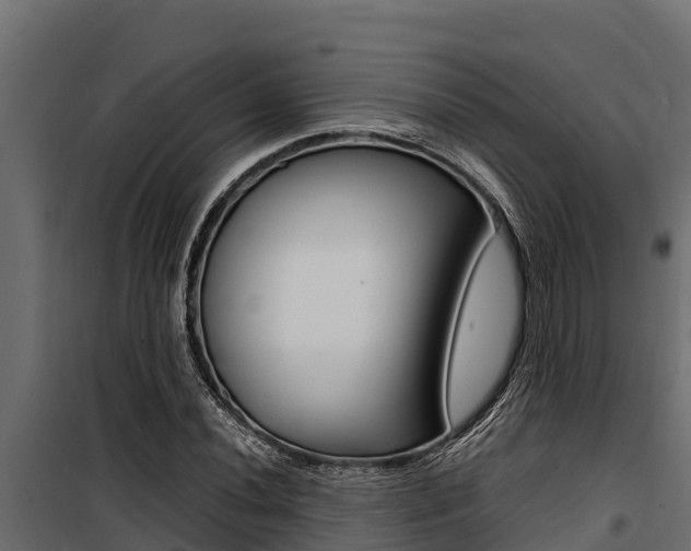 X0000100771020200806190928