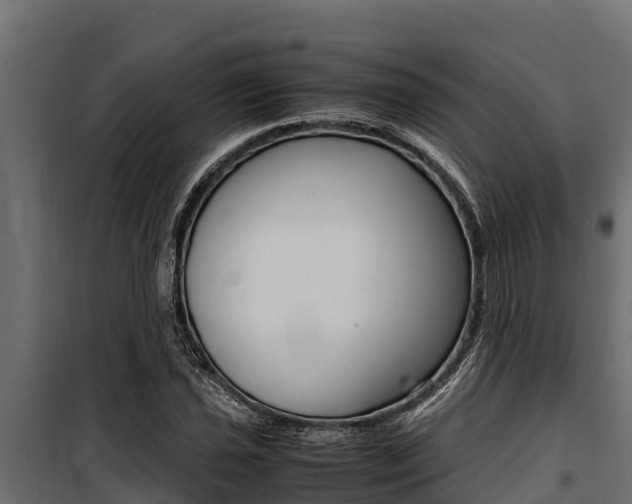 X0000100771021200806190928