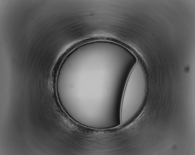 X0000100771022200806190928
