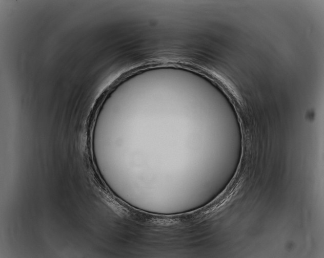 X0000100771023200806190928