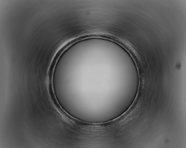 X0000100771024200806190928