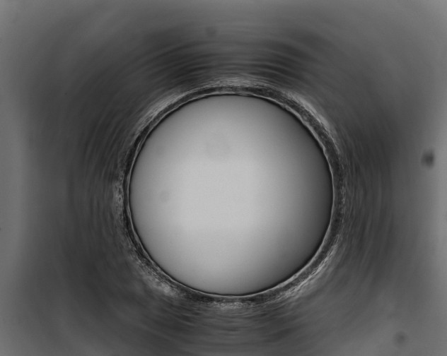 X0000100771025200806190928