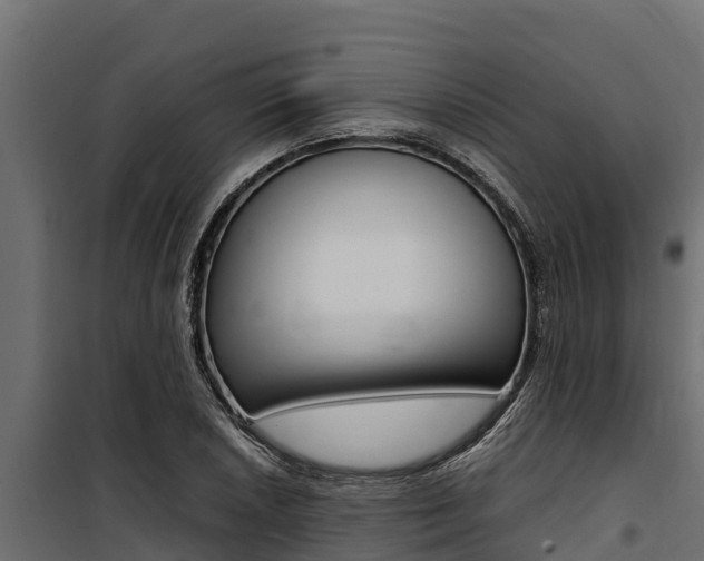 X0000100771026200806190928